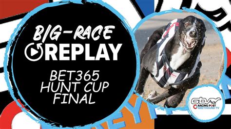 bet365 greyhound